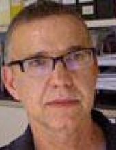 Saul Lach