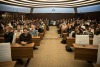 ne8a1050.jpg